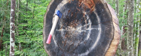 Axe Throwing